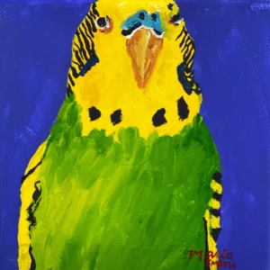 Budgie - Original