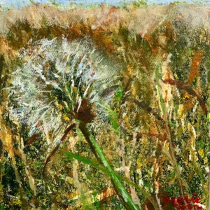 Dandelion - Original