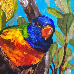 Rainbow Lorikeet - Original