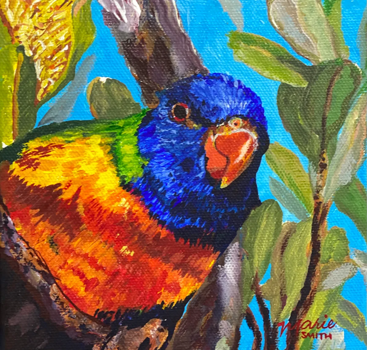 Rainbow Lorikeet - Original