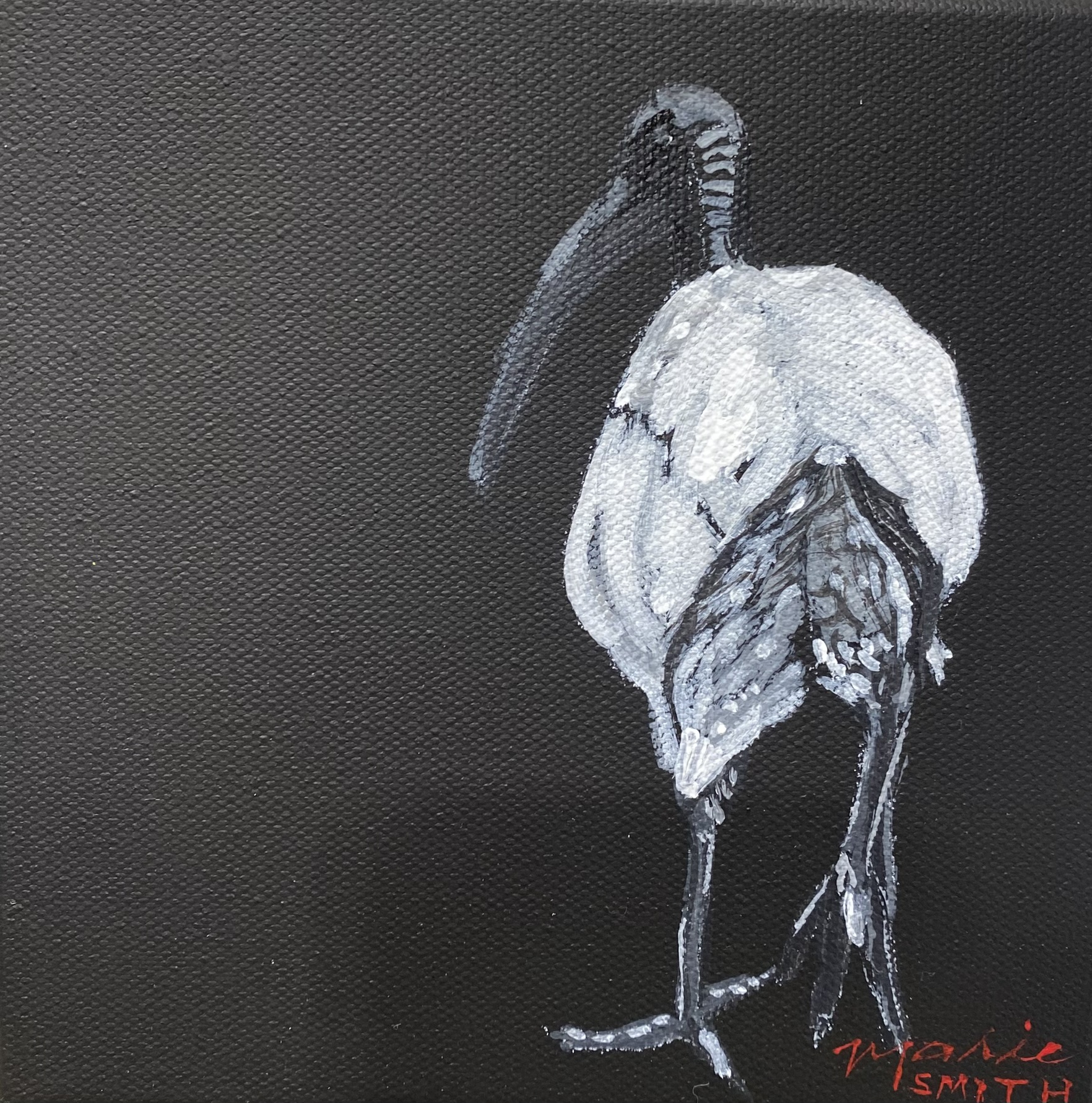Ibis