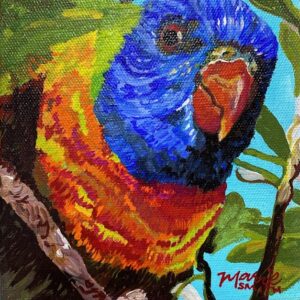 Rainbow Lorikeet