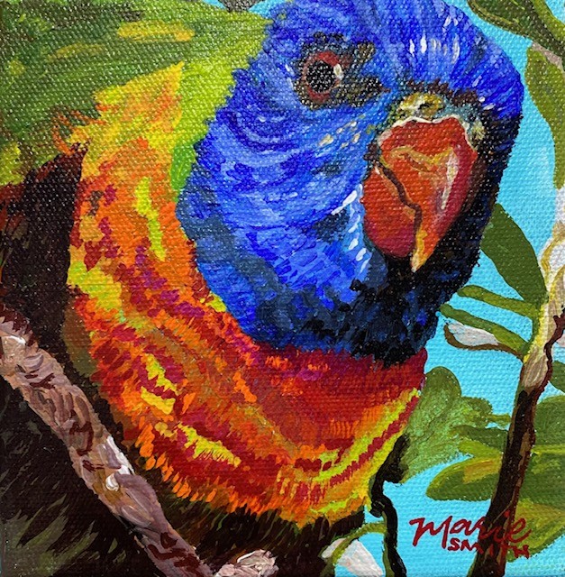 Rainbow Lorikeet