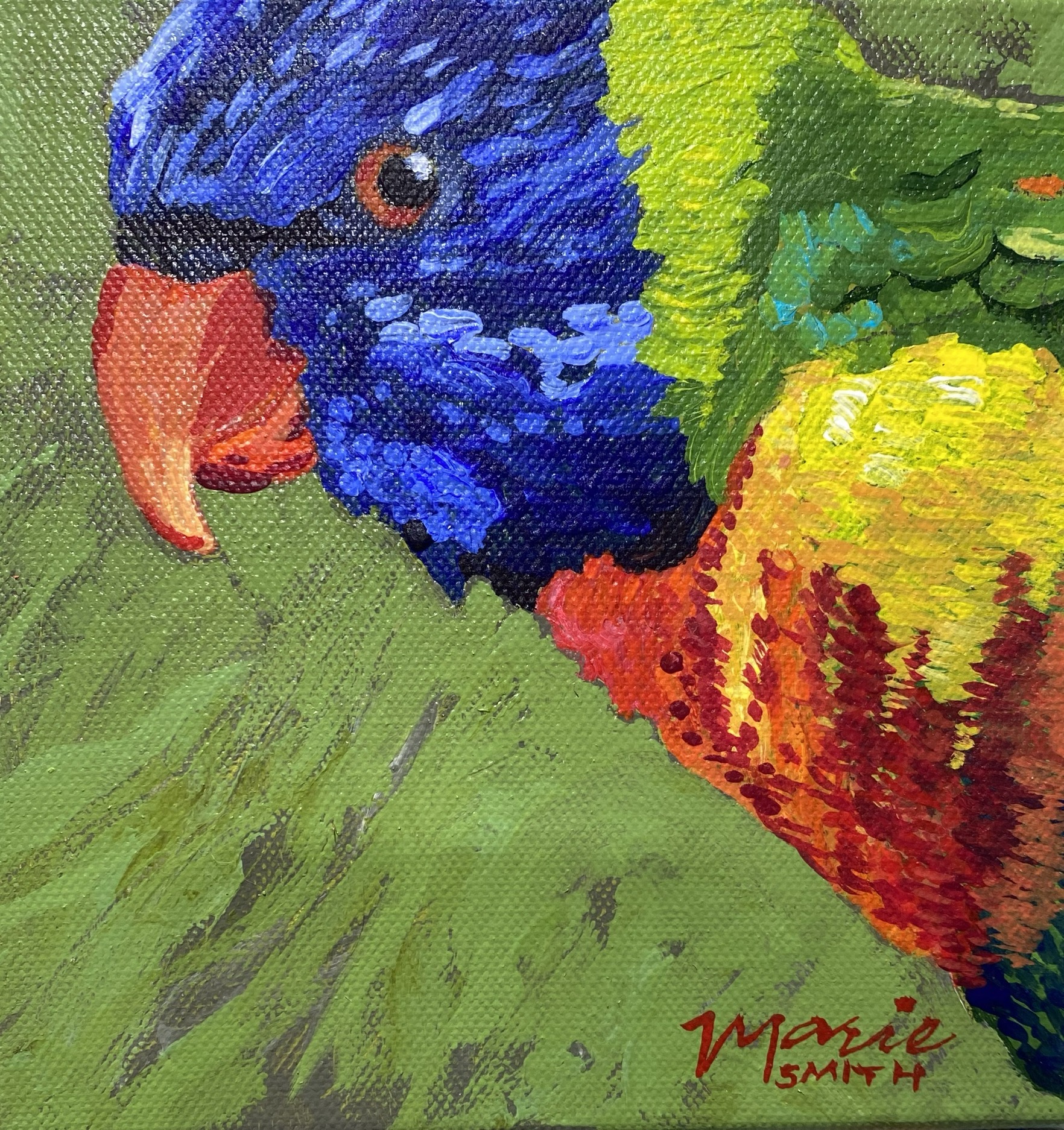 Rainbow Lorikeet side view - Original
